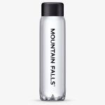 Mountain Falls 500mL Natural Still Mineral Water